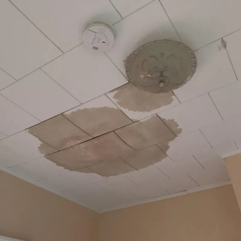 Ceiling Water Damage Repair in Glenville, WV