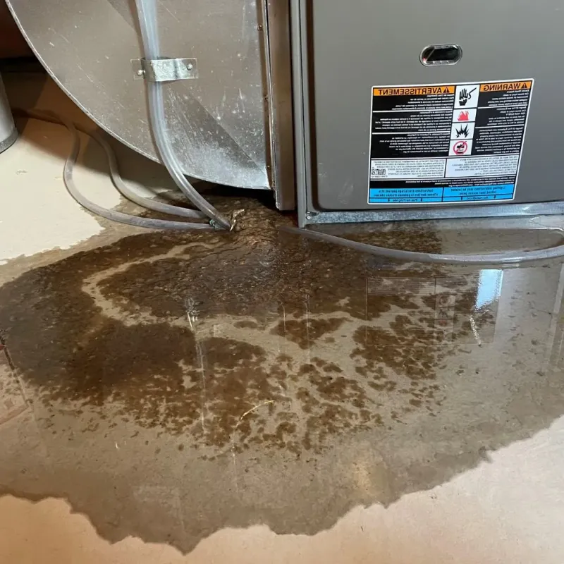 Pipe Burst and Leak Restoration in Glenville, WV
