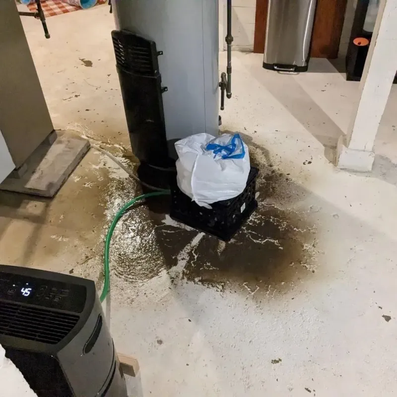 Sewage Backup Cleanup Service in Glenville, WV